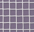 First Team FT610N HTPP Heavy-Duty Official Lacrosse Net