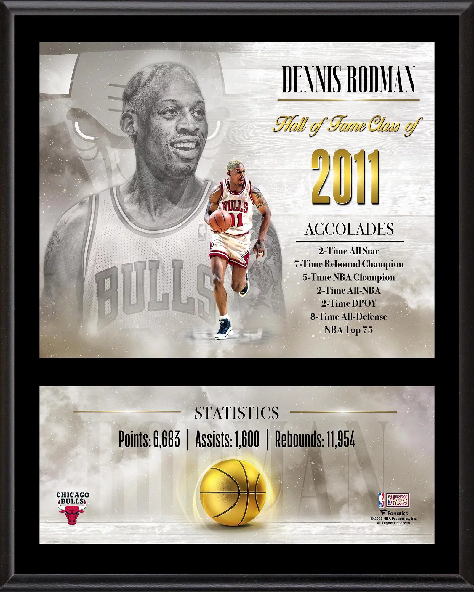 Dennis Rodman Chicago Bulls 12 x 15 Hardwood Classic Sublimated Player Plaque