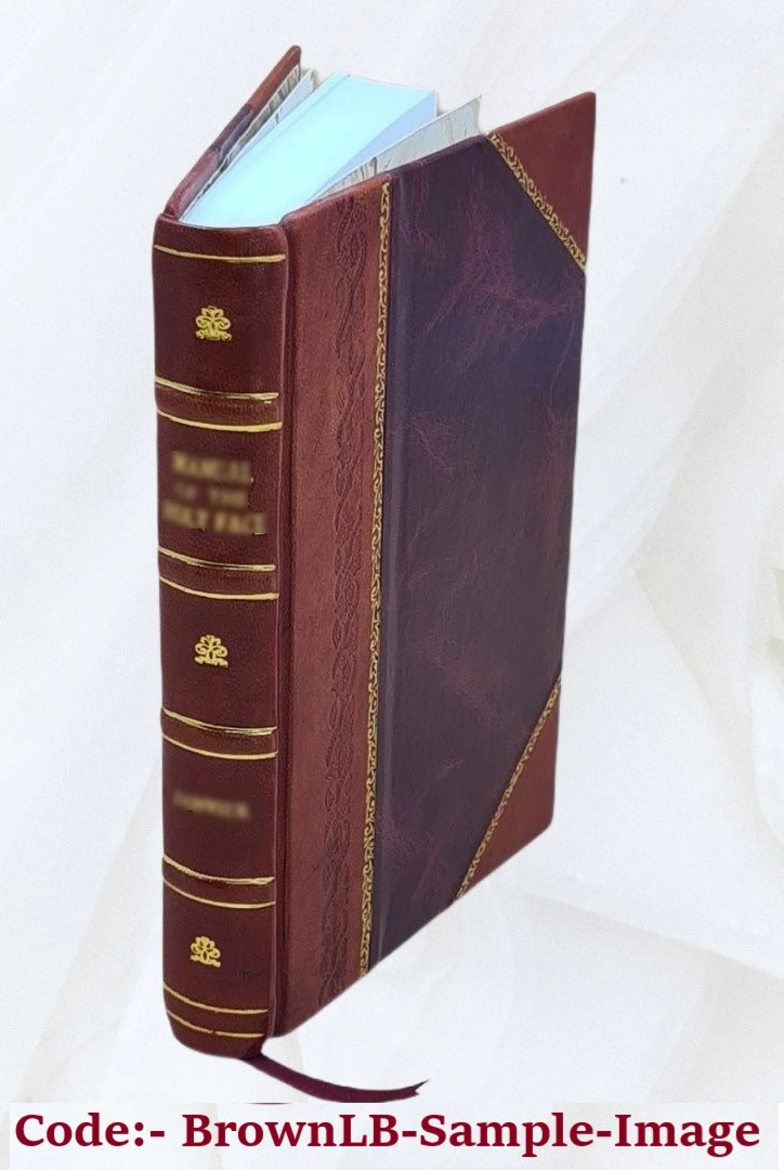 The Ames family of Easton, Massachusetts. 1938 [Leather Bound]