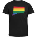 Connecticut LGBT Gay Pride Rainbow Black Youth T-Shirt - Youth Small