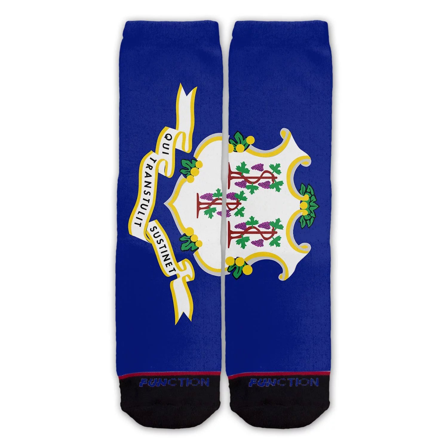 Function - Connecticut State Flag Fashion Socks