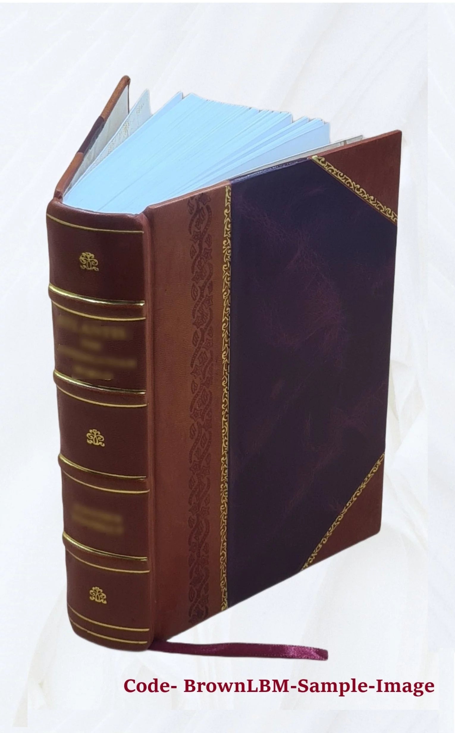 Sammlung nationalo?konomischer und statistischer Abhandlungen des Staatswissenschaftlichen Seminars zu Halle a.d.S 1877 [Leather Bound]