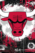 NBA Chicago Bulls - Maximalist Logo 23 Wall Poster, 22.375 x 34
