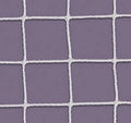 First Team FT605N HTPP Standard Duty Lacrosse Net