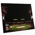 2009 BCS National Championship Game Florida Gators Champions 16x20 Stretched Canvas