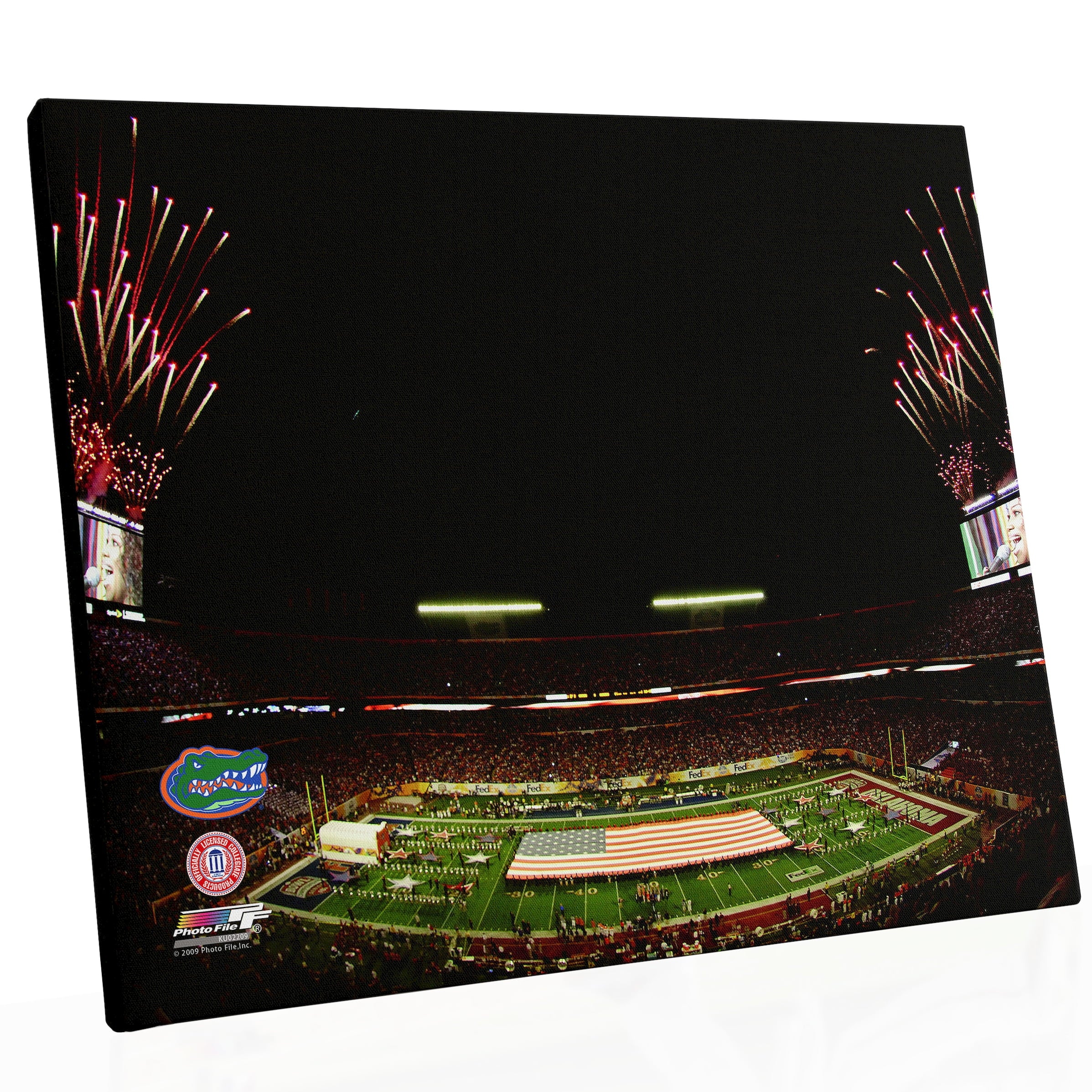 2009 BCS National Championship Game Florida Gators Champions 16x20 Stretched Canvas