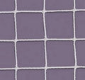 Lacrosse Replacement Net Official Size 6' X 6' X 7